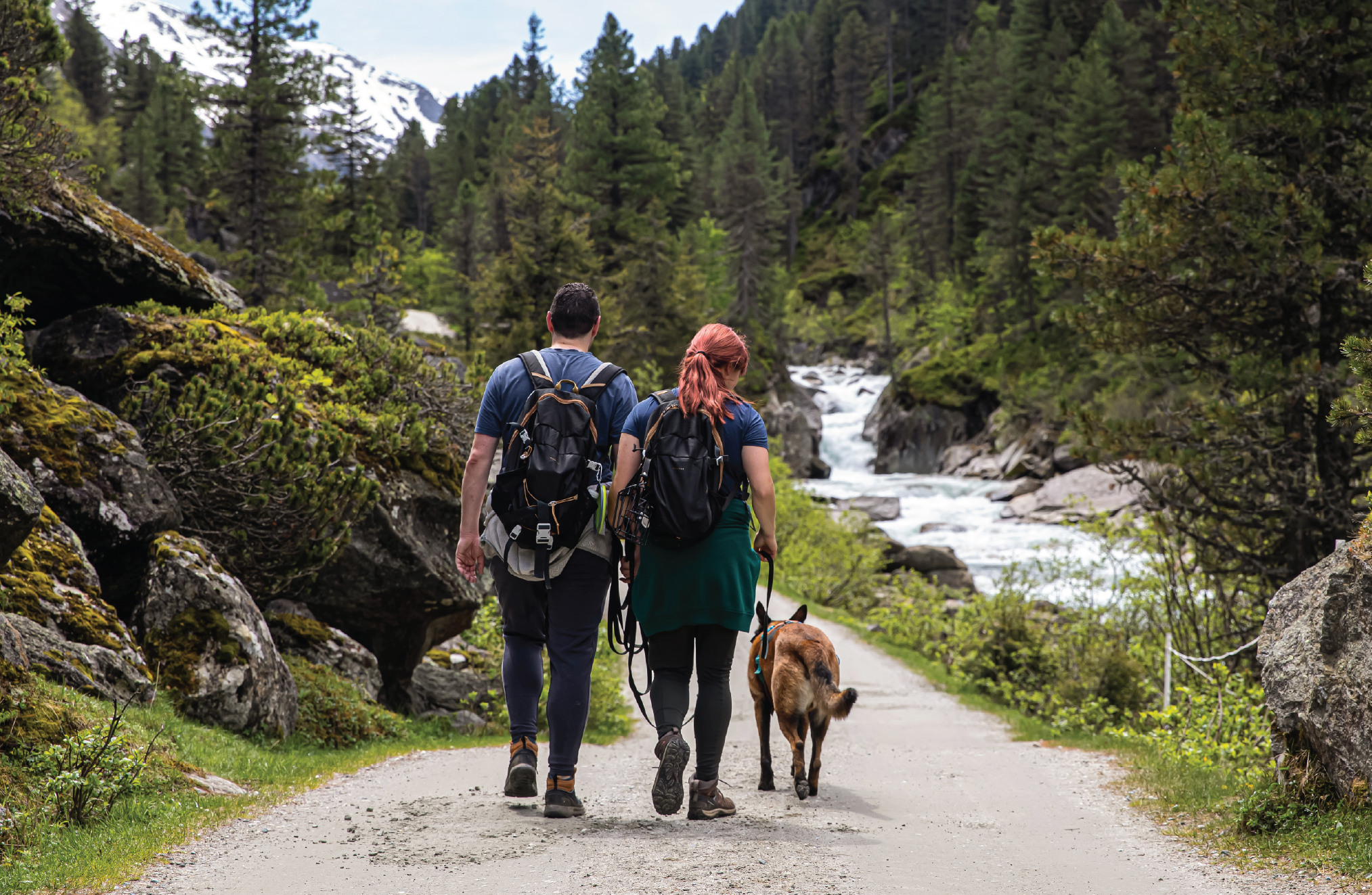 To promote wellness, a man and woman wearing backpacks hike in a wooded area with their dog.