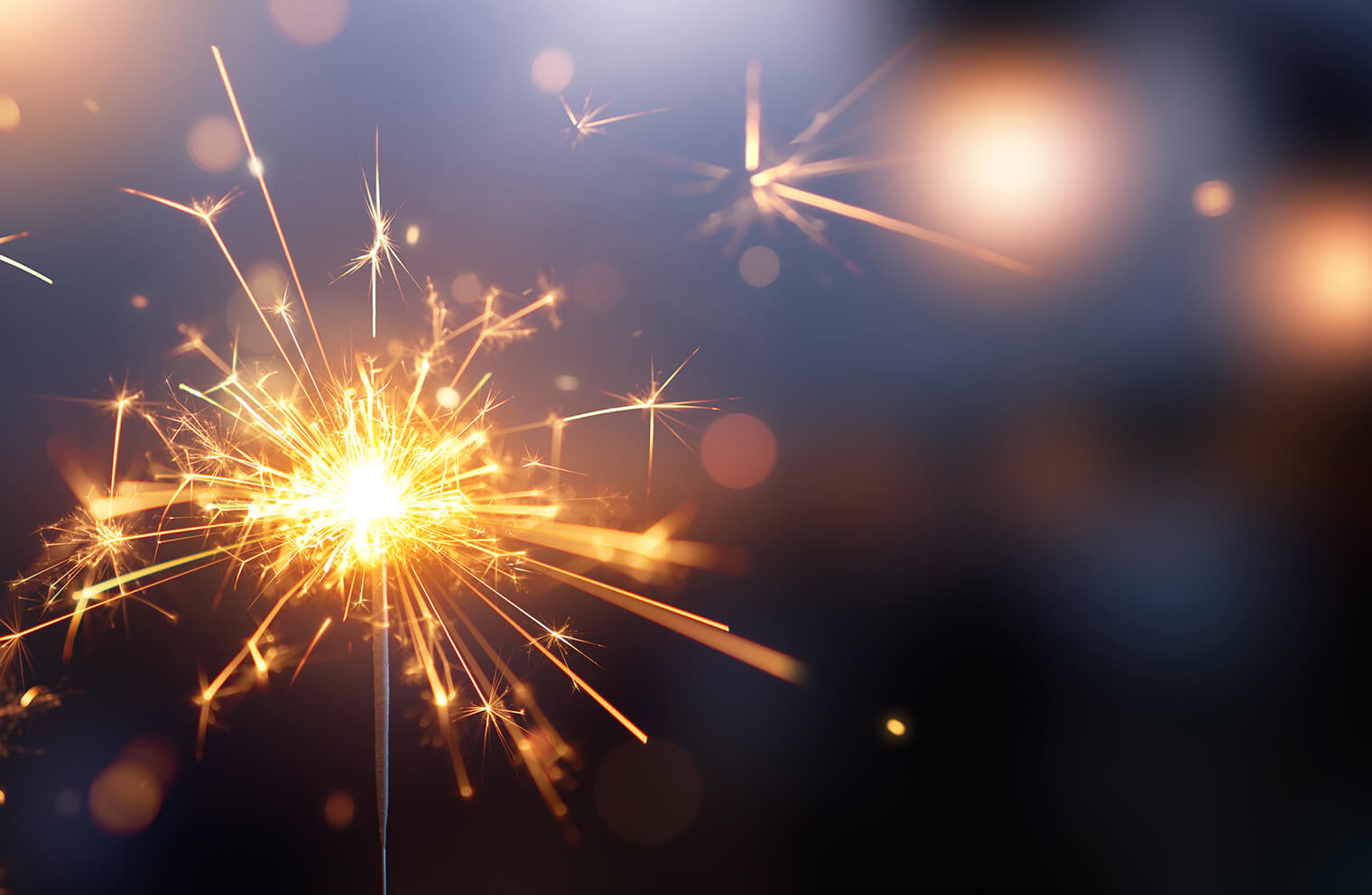 Fireworks sparkle against a night sky. 