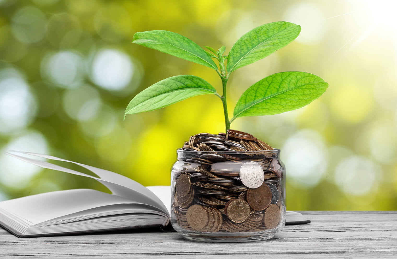 Image of a short glass vase that is filled with coins. There is a plant sprouting out of the coins. This is all sitting on a gray, wooden tabletop along with an open journal.