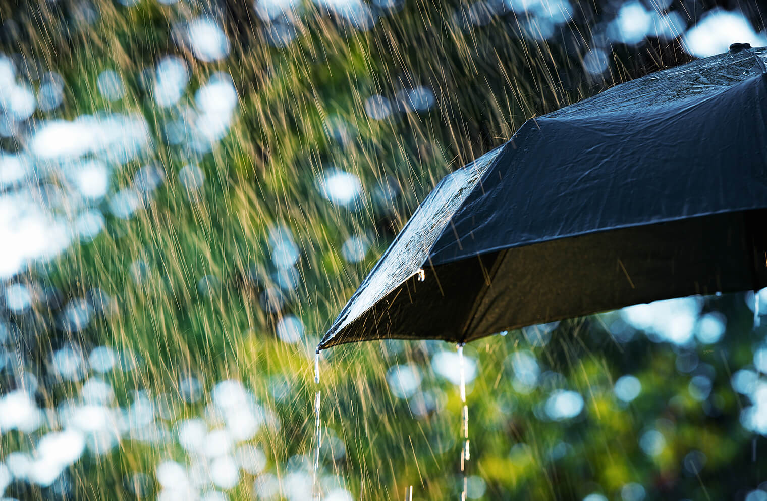 Close up picture of rain falling on a black umbrella.